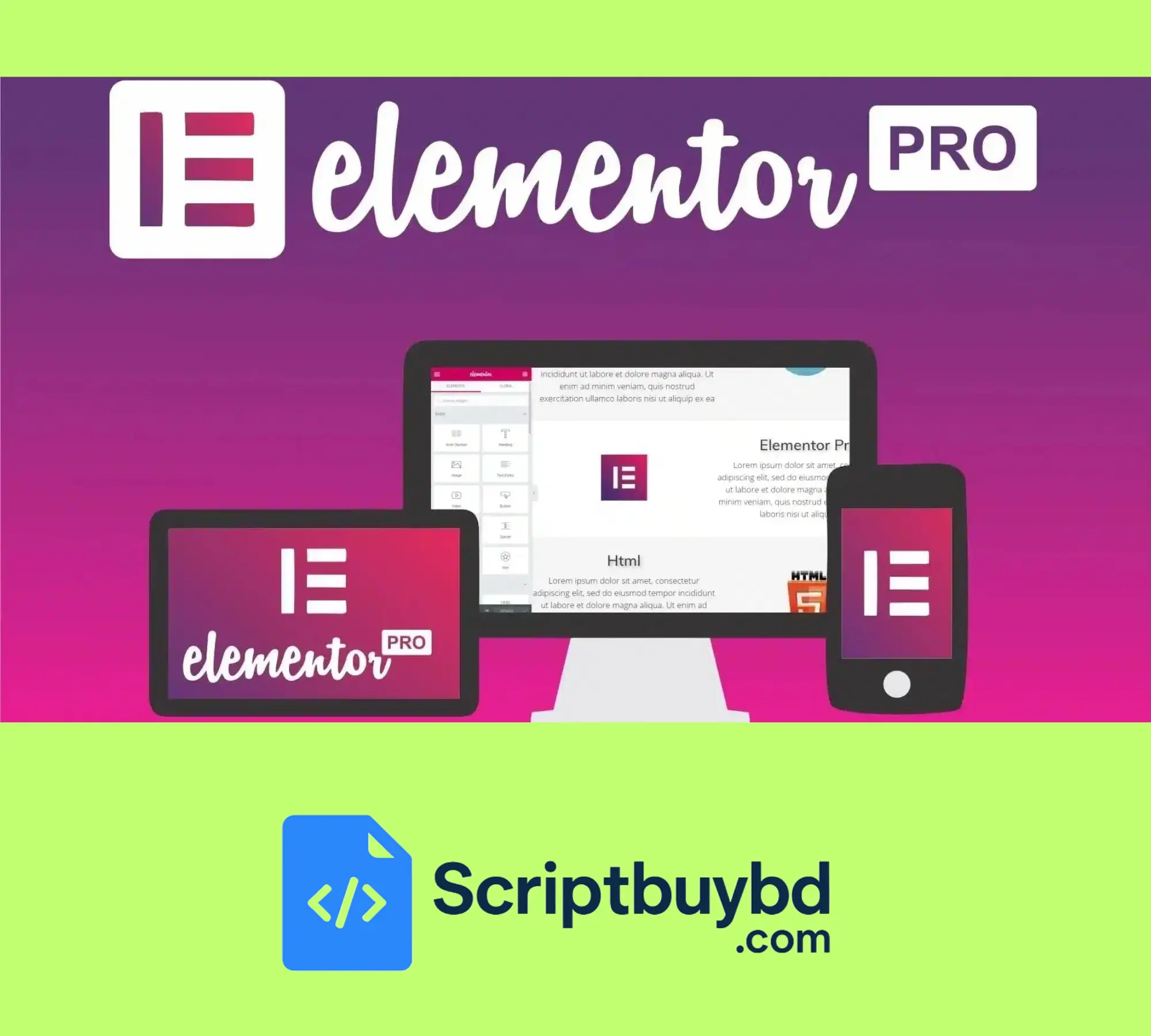Elementor Pro
