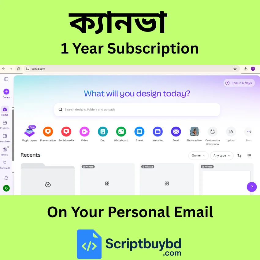 Canva Pro Pricing, Features & Free Alternatives